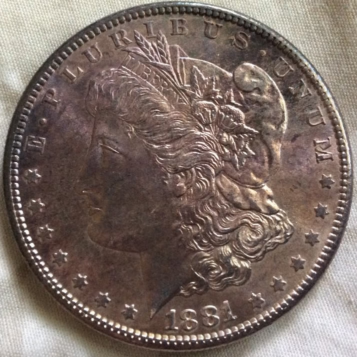 3-Toned-Morgan's-For-Grading-All-Raw