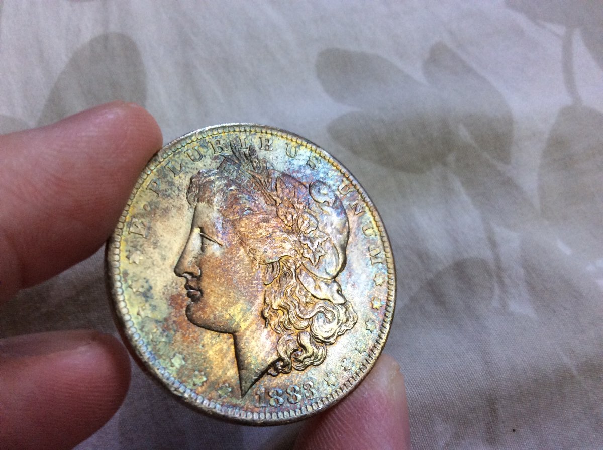 3-Toned-Morgan's-For-Grading-All-Raw