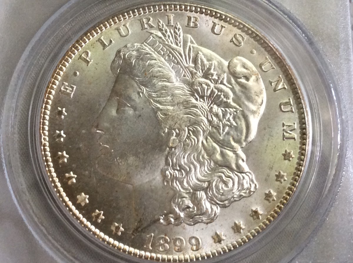 Coin-Grading-Contest.--20-Coins-To-Grade.--Winner-Gets-A-Peace/Morgan-$