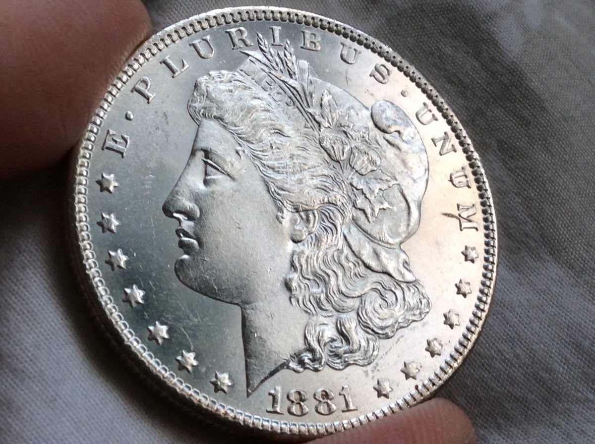 81-CC-GSA-&-81-O-Morgan-For-Grading
