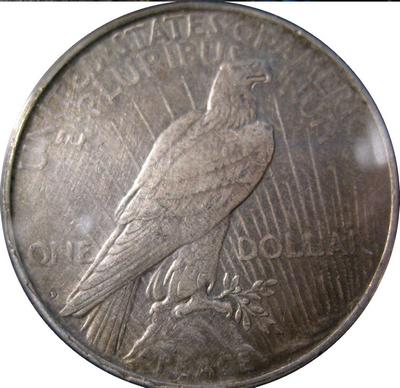 My-Chinese-Peace-Dollar