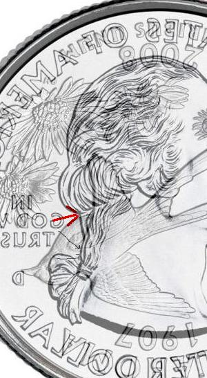 Oklahoma-Quarter-Extra-Featheror-Wing...new-Pics