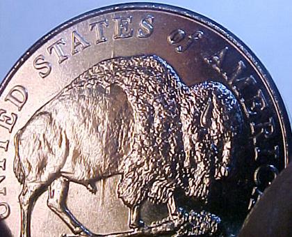 2005-Buffalo-Errors