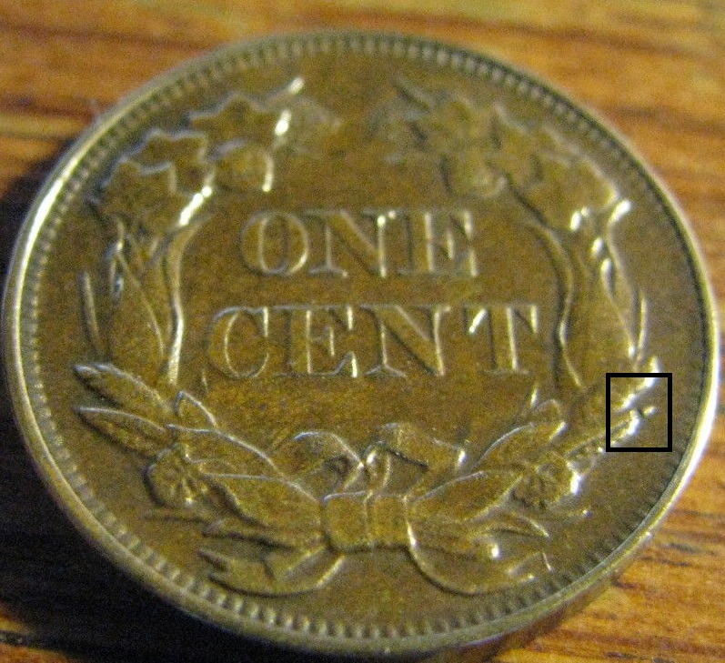 Counterfeit-Seller:-Kevinandlizvogel-1857-&-1858-Flying-Eagle-Cents
