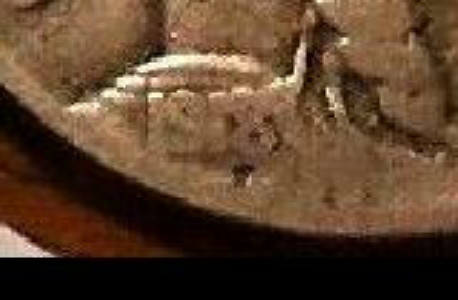1918/7-D-Buffalo-Nickel?
