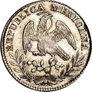 Large-Crusty-Coin
