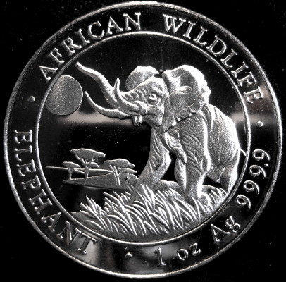Post-Your-Coins-Representing-The-Animal-Kingdom.
