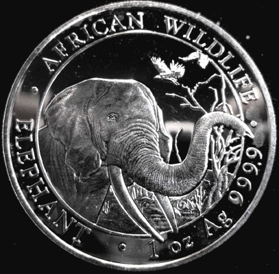 Post-Your-Coins-Representing-The-Animal-Kingdom.
