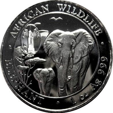 Post-Your-Coins-Representing-The-Animal-Kingdom.