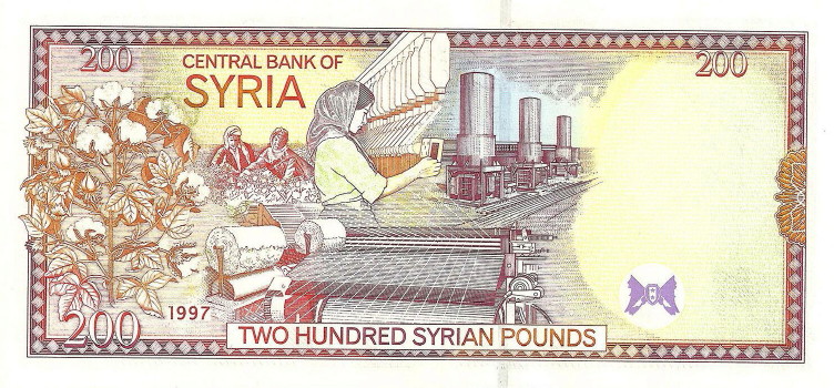 Women-On-Banknotes