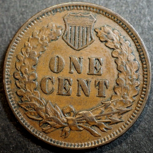 1906-Indian-Head-Cent-For-Grading