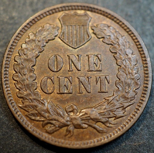 1907-Indian-Head-Cent-For-Grading