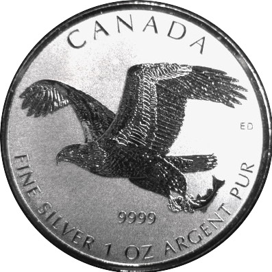Post-Your-Bird-Coins