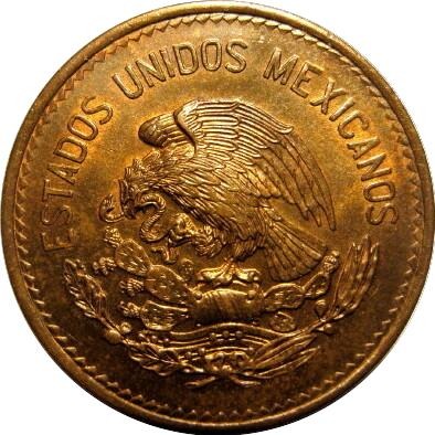 Post-Your-Bird-Coins