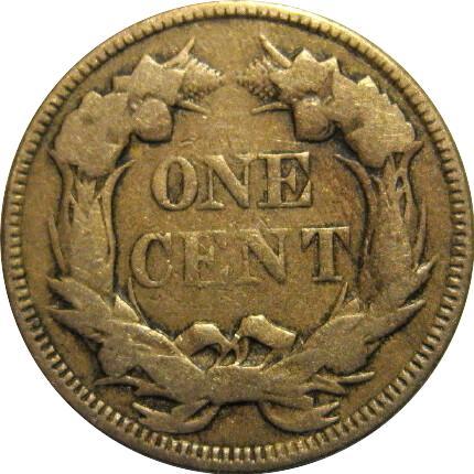 Post-Your-Coins-Representing-The-Animal-Kingdom.