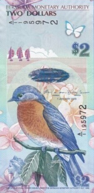 Post-Your-Avian-Notes!