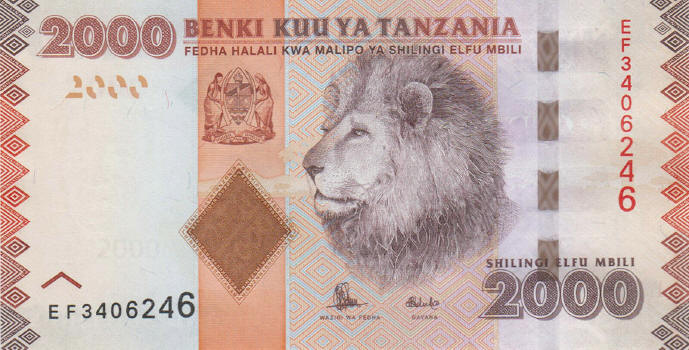 Post-Your-Notes-With-A-Lion