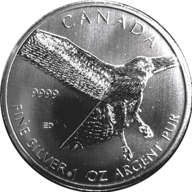 Post-Your-Bird-Coins