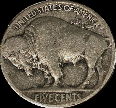 1926-D-Buffalo-For-Grading