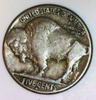 1916-S-Buffalo-For-Grading