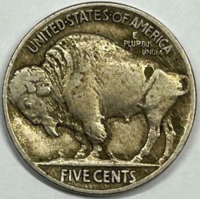 1913-Type-2-Buffalo-For-Grading