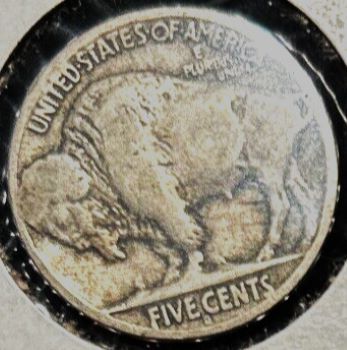 1917-D-Buffalo-For-Grading
