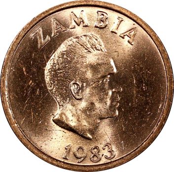 Post-Your-Bird-Coins