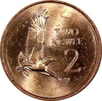 Post-Your-Bird-Coins