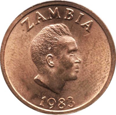 Post-Your-Bird-Coins