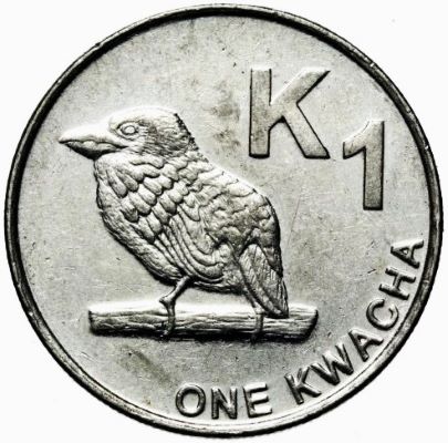 Post-Your-Bird-Coins
