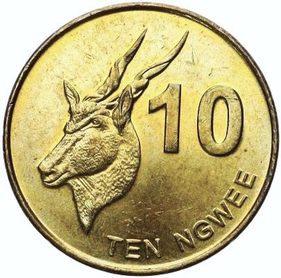 Post-Your-Coins-Representing-The-Animal-Kingdom.