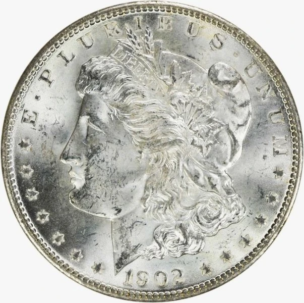 1902-O-Morgan-Dollar-For-Grading