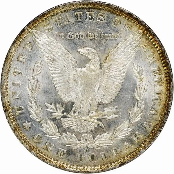 1882-O-Morgan-For-Grading