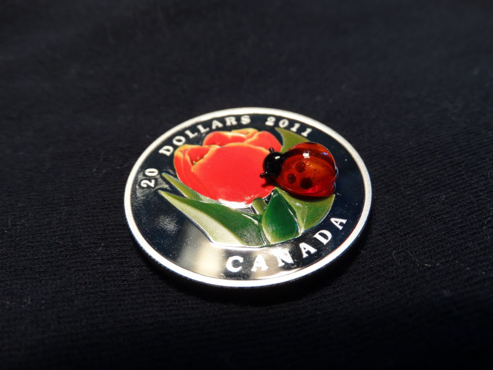 Venetian-Ladybug-Coin-Question