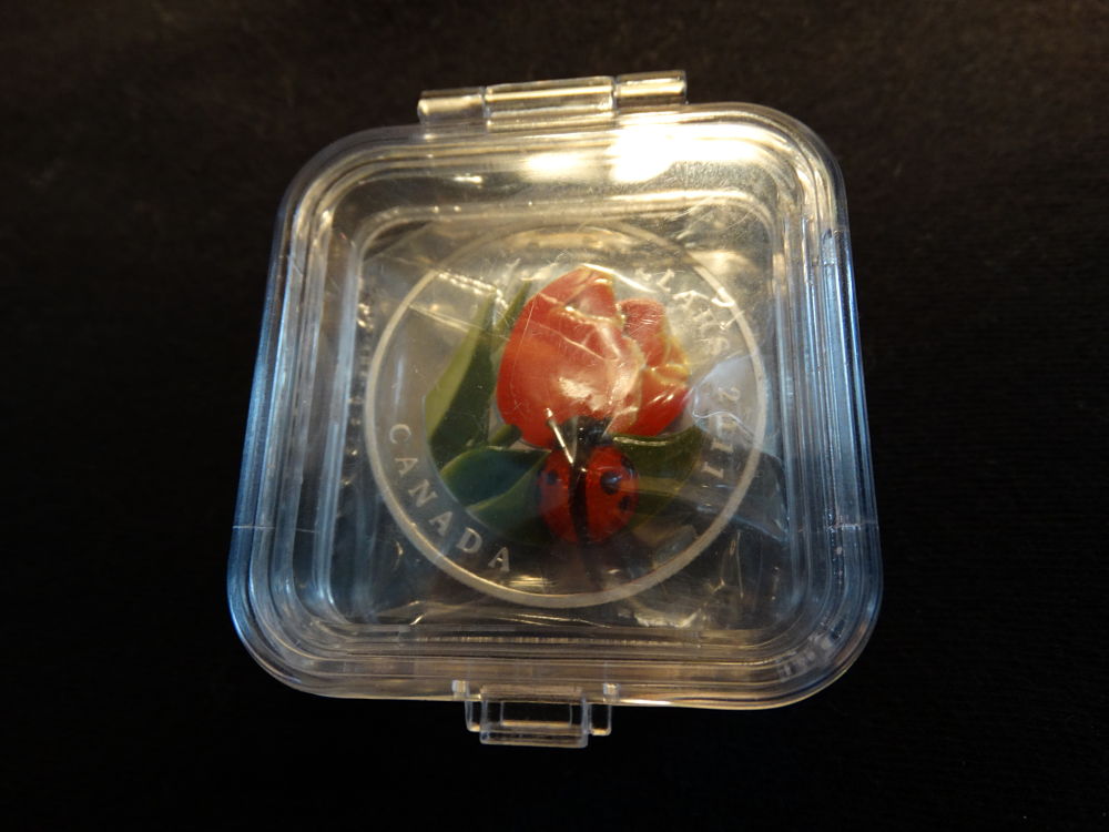 Venetian-Ladybug-Coin-Question