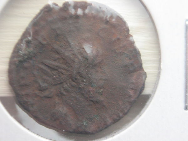 Need-Help-With-These-Coin's-Values