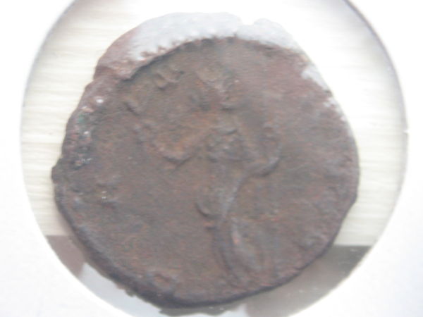 Need-Help-With-These-Coin's-Values