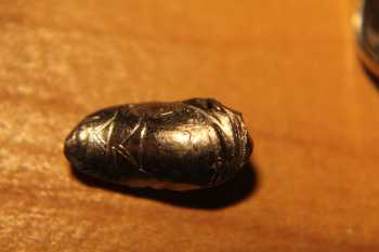 New-Coin-And-Bullet-Artwork---Awesome---Check-It-Out