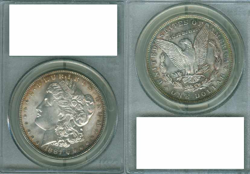 You-Vs-PCGS-1887-Morgan-Dollar