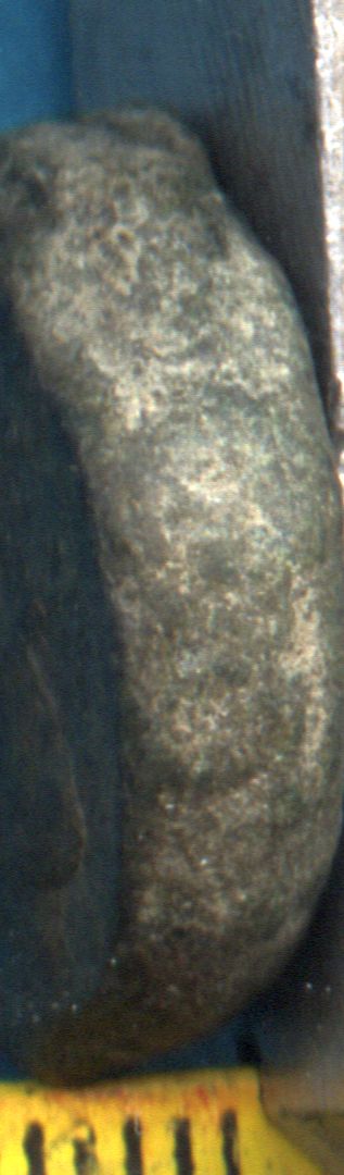 Greek-Coin?-Need-Help,-Please