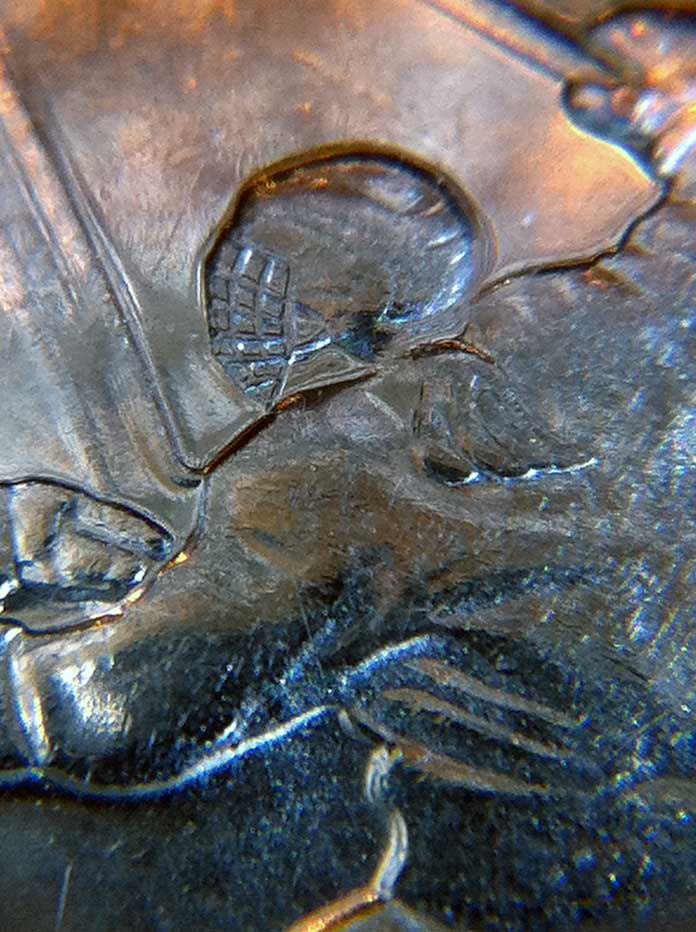 Iphone4-+-Cheap-Microscope-=-Potential-Awesome!