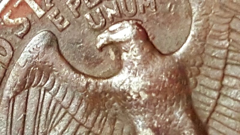1998-P-Quarter-WDMM-Is-It-Worth-Anything-In-This-Condition?