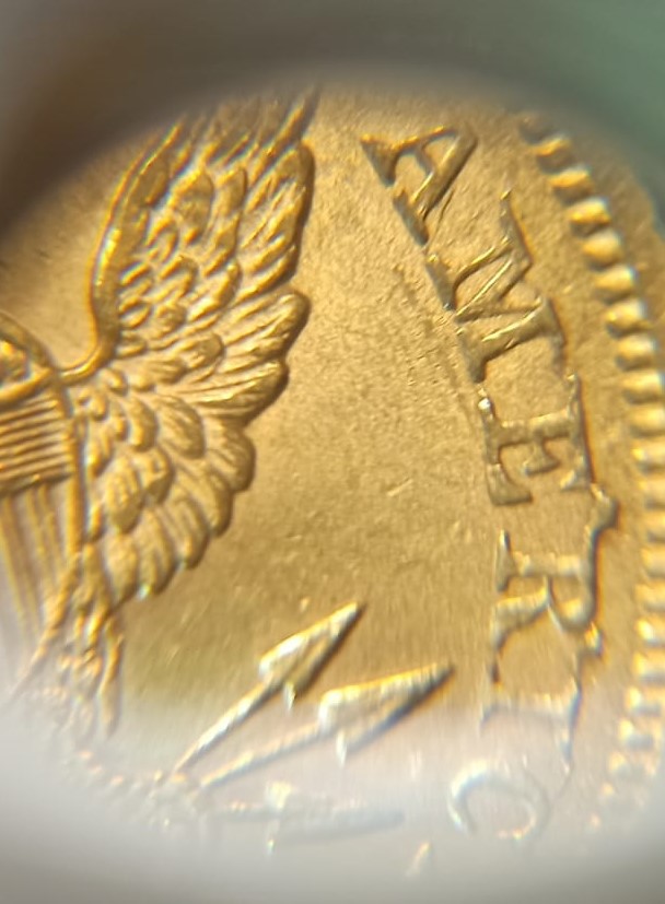 Help-1899-10$-Gold-Liberty-With-Die-Crack