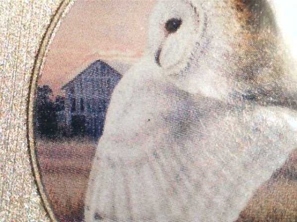 Doubling-On-A-New-2013-Barn-Owl-Coin