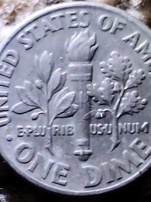 1993-P-Roosevelt-Dime---Missing-Clad?