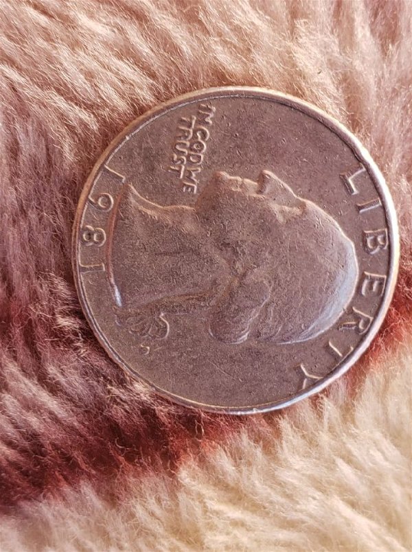 1981-Washington-Quarter-Errors?