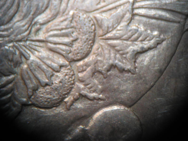 1921-P-Morgan-Chrysanthemum