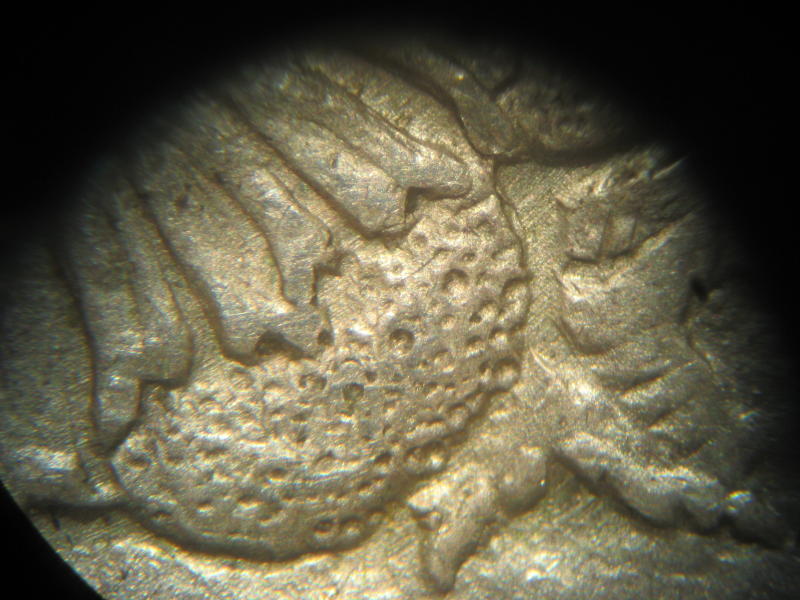 1921-P-Morgan-Chrysanthemum