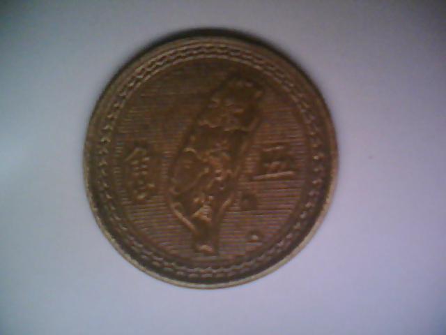 Taiwanese-Coin
