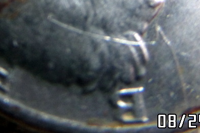 Kennedy-Half-Die-Crack?